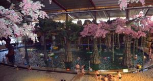 興龍溫泉生態城 興龍溫泉生態城