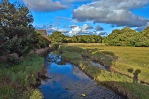 布列塔尼 布列塔尼