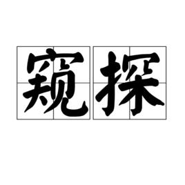 窺探[詞語解釋]