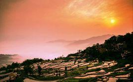 雲南紅[董冬演唱的歌曲]