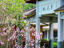 桃花寨[浙江舟山桃花寨]