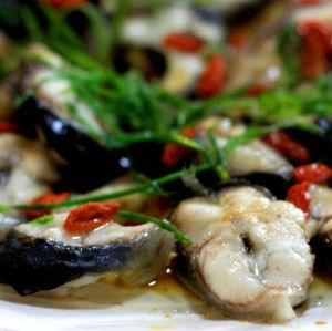 枸杞蒸鰻魚 枸杞蒸鰻魚