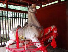 龐統祠墓中的盧馬塑像