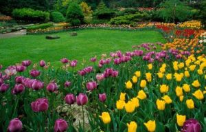 加拿大皇家植物園