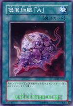 侵食細胞「A」 侵食細胞「A」