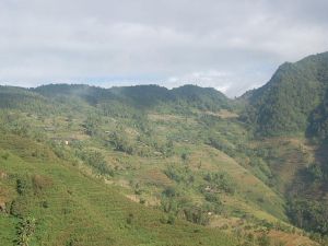 看牛場村 看牛場村