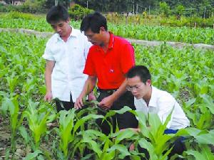 （圖）大學生村官