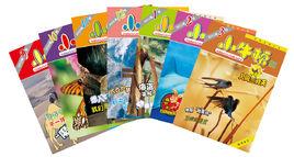 小牛頓畫刊 小牛頓畫刊