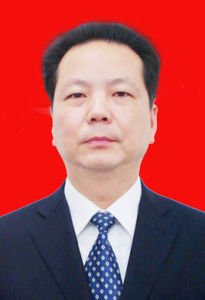 劉曉鳴[湖北省發展和改革委員會黨組書記]