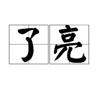 了亮 了亮