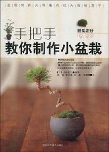 手把手教你製作小盆栽 手把手教你製作小盆栽