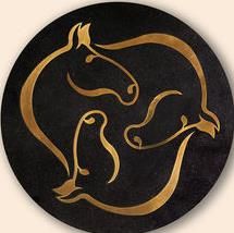 黑色花崗岩與銅搭配水刀拼花