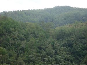 曼港自然村 曼港自然村