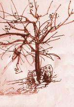 Acaidémie Suisse 桃樹