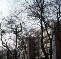 燕山東嶺 燕山東嶺