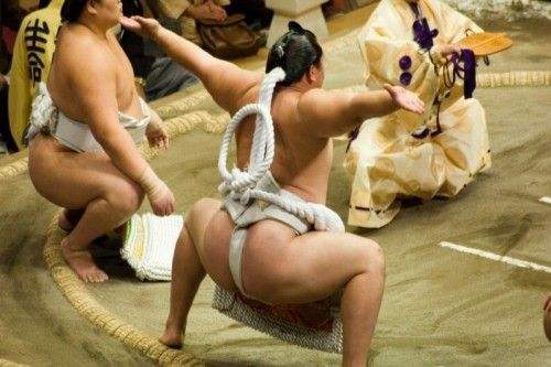 “美女配野獸”——為什麼日本美女都想嫁給相撲運動員?