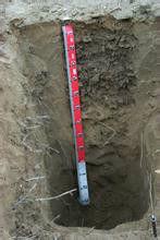 土壤熟化 土壤熟化