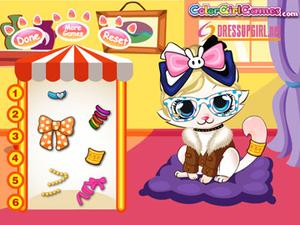 貓咪沙龍 貓咪沙龍