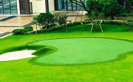 高爾夫果嶺 高爾夫果嶺