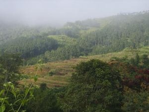 石馬鹿自然村 石馬鹿自然村
