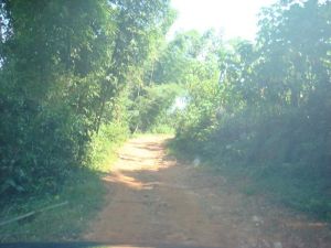 半路寨自然村 半路寨自然村