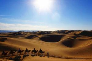 沙坡頭沙漠 沙坡頭沙漠