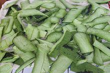 西瓜翠衣[一種中藥]