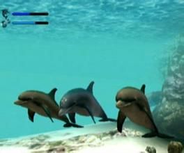 《海豚大冒險》 《海豚大冒險》