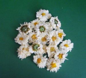 台灣白菊花茶 台灣白菊花茶