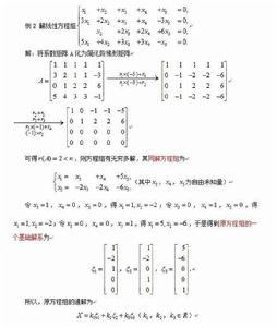非齊次布爾網路 非齊次布爾網路