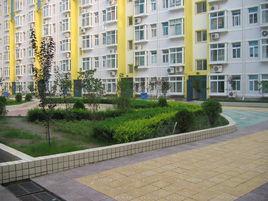 青年居易 青年居易