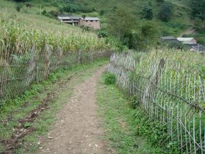 燒香河自然村 燒香河自然村