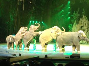 長隆夜間動物世界