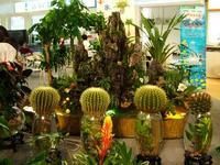 資產負債表外融資