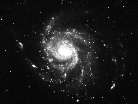 M101