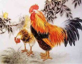 籠藏之雞 籠藏之雞