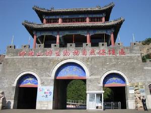 西霞口神鵰山野生動物自然保護區 西霞口神鵰山野生動物自然保護區