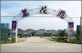 濟寧萬花苑花卉市場 濟寧萬花苑花卉市場