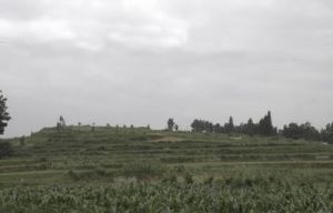 沙子地村 沙子地村