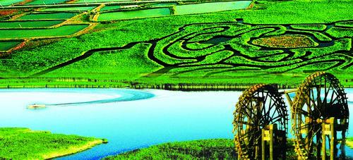 銀川鳴翠湖國家濕地公園