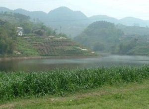 麻柳嘴鎮 麻柳嘴鎮