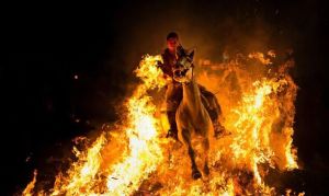 聖安東尼節 聖安東尼節