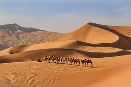 絲綢之路:長安—天山廊道的路網 絲綢之路:長安—天山廊道的路網