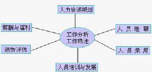 人力資源管理4P模型