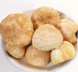 猴頭菇香菇 猴頭菇香菇