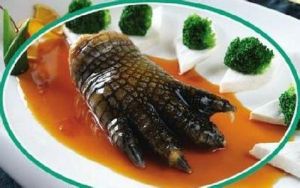 《舌尖上的中國》美食