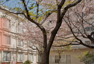 廣島文教女子大學