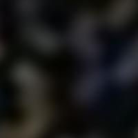 HR 1055 RASS 彩色圖