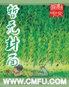 《荷葉蓮花藕》