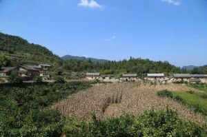 南岔灣村 南岔灣村